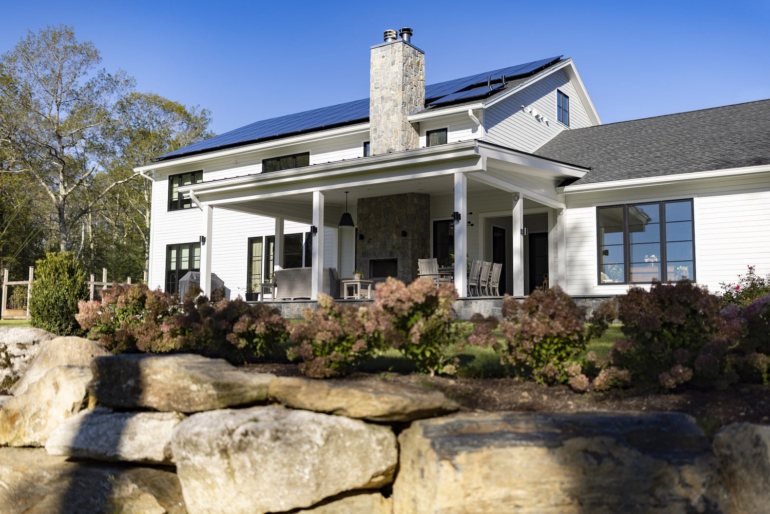 Portfolio image